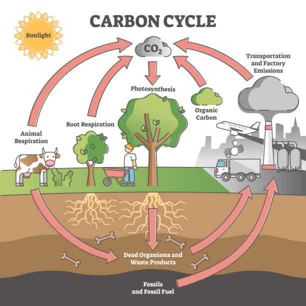 why-bill-gates-is-behind-to-get-co2-out-of-the-atmosphere-is-it-possible