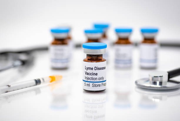 Illustrative picture showing Lyme disease vaccine vial