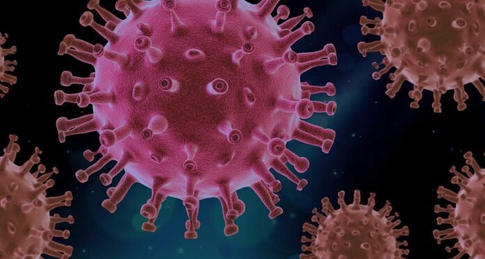 XXB virus