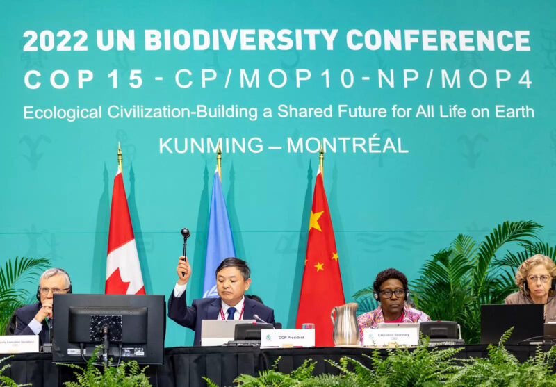 Historic Biodiversity Agreement Reached At UN Conference