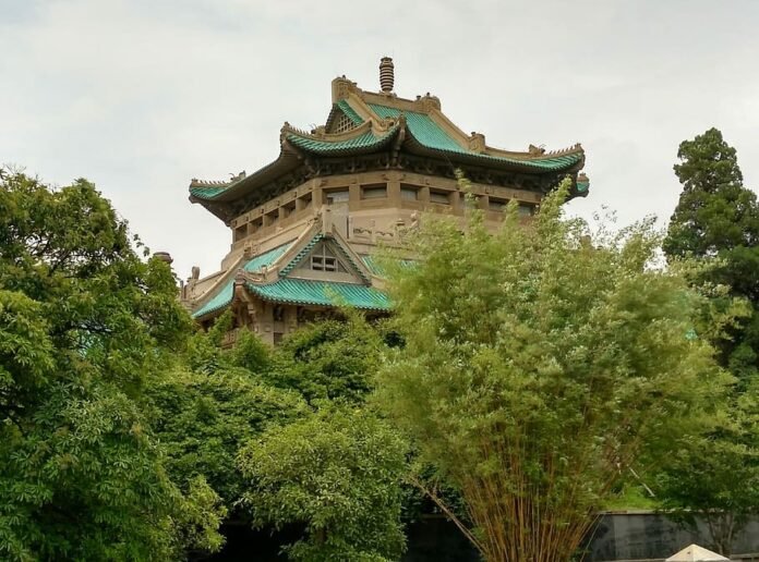 1wuhan-university