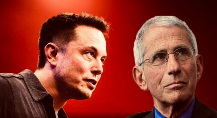 Elon and Fauci