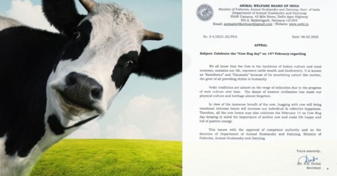 cow-hug-day