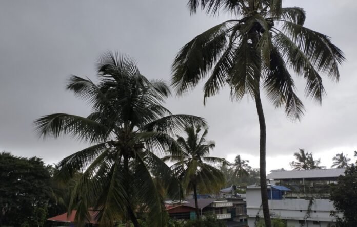 kerala-monsoon-new