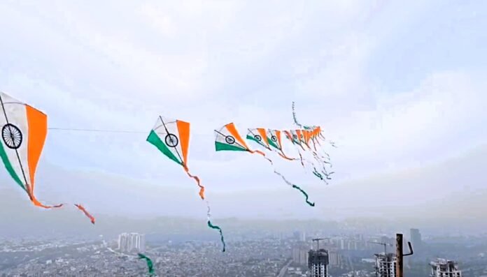 noida-100-kites-1