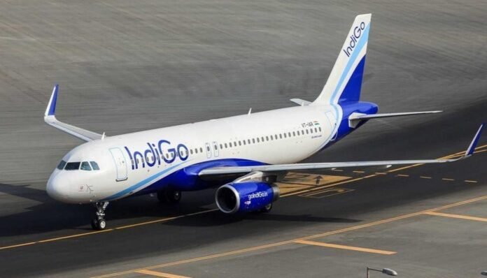 Indigo-new-1
