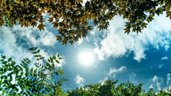 Sunlight-2