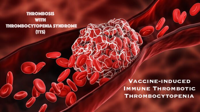 Blood Clot or thrombus blocking the red blood cells stream within an artery or a vein 3D rendering illustration. Thrombosis, cardiovascular system, medicine, biology, health, anatomy, pathology concepts.