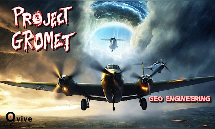 Project Gormet-Qvive