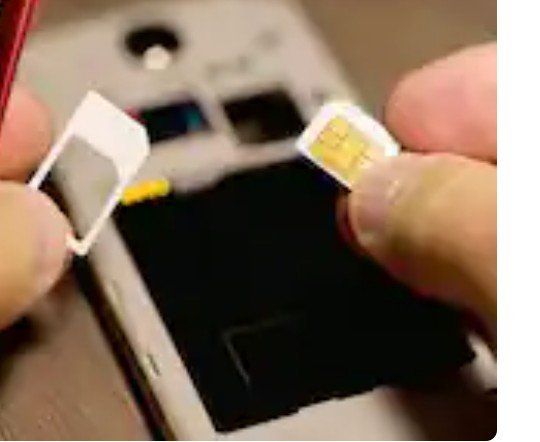 g1