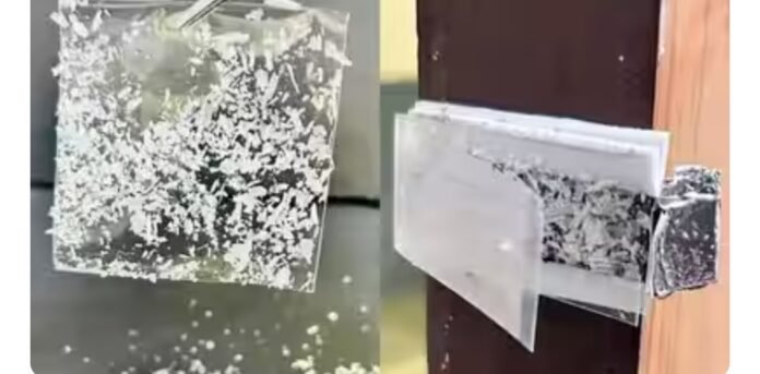 g2